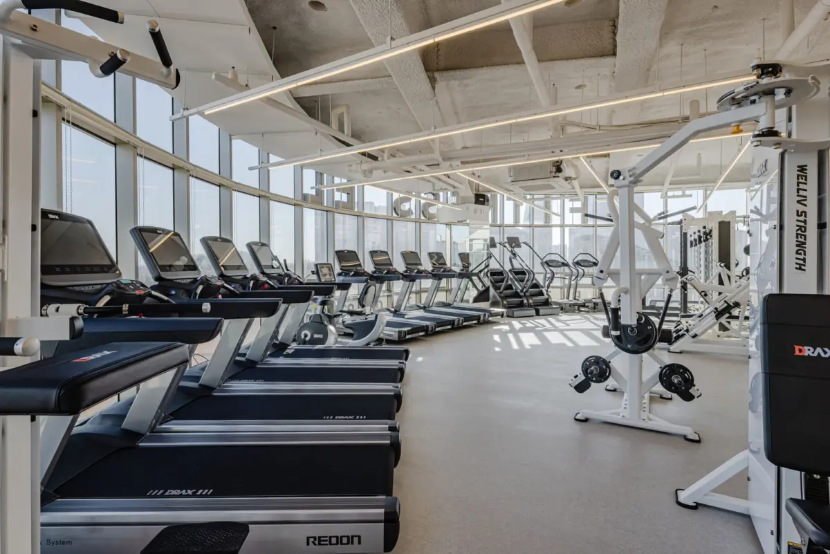 통유리 전망의 프리미엄 인더스트리얼 피트니스